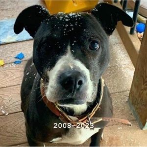 Meet your Posher, Linda